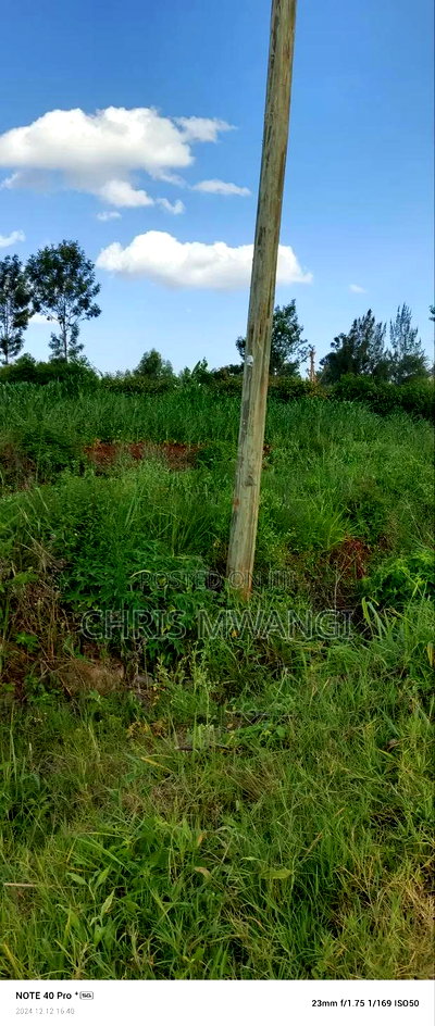 Ready Title Deed - Image 1