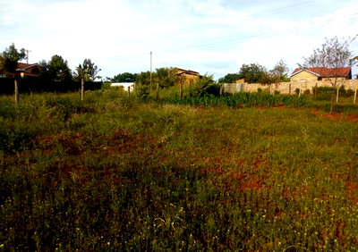 Pet Friendly Quarter Acre in Ruiru