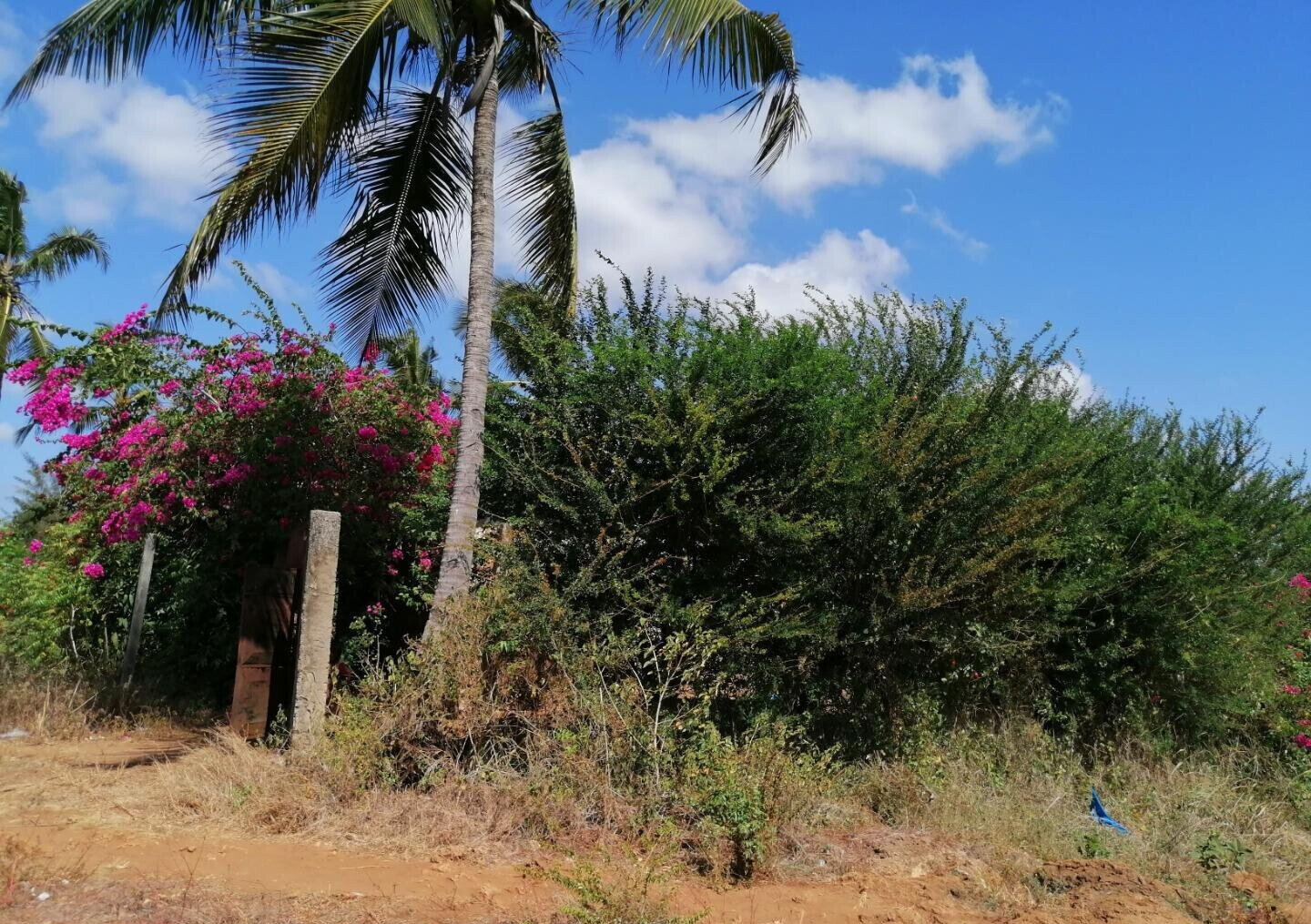3/8 Acre Plot Near Sun n Sand Hotel