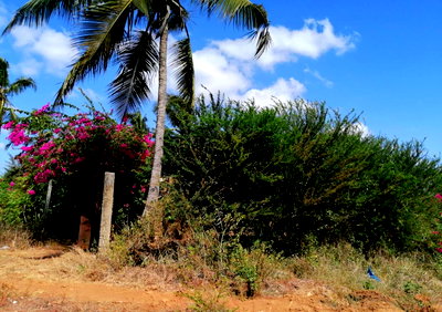 3/8 Acre Plot Near Sun n Sand Hotel