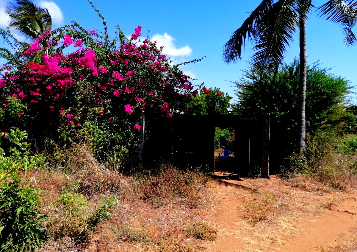 3/8 Acre Plot Near Sun n Sand Hotel