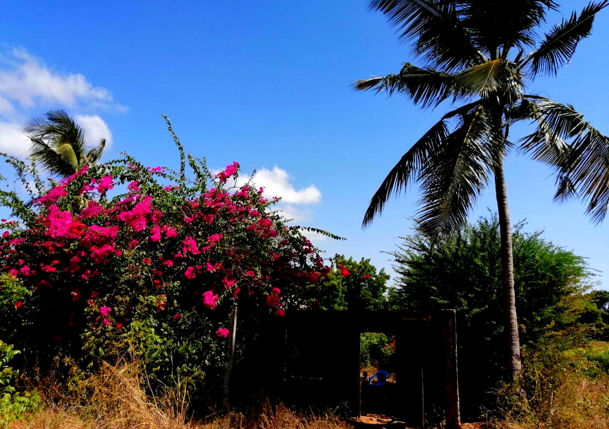 3/8 Acre Plot Near Sun n Sand Hotel