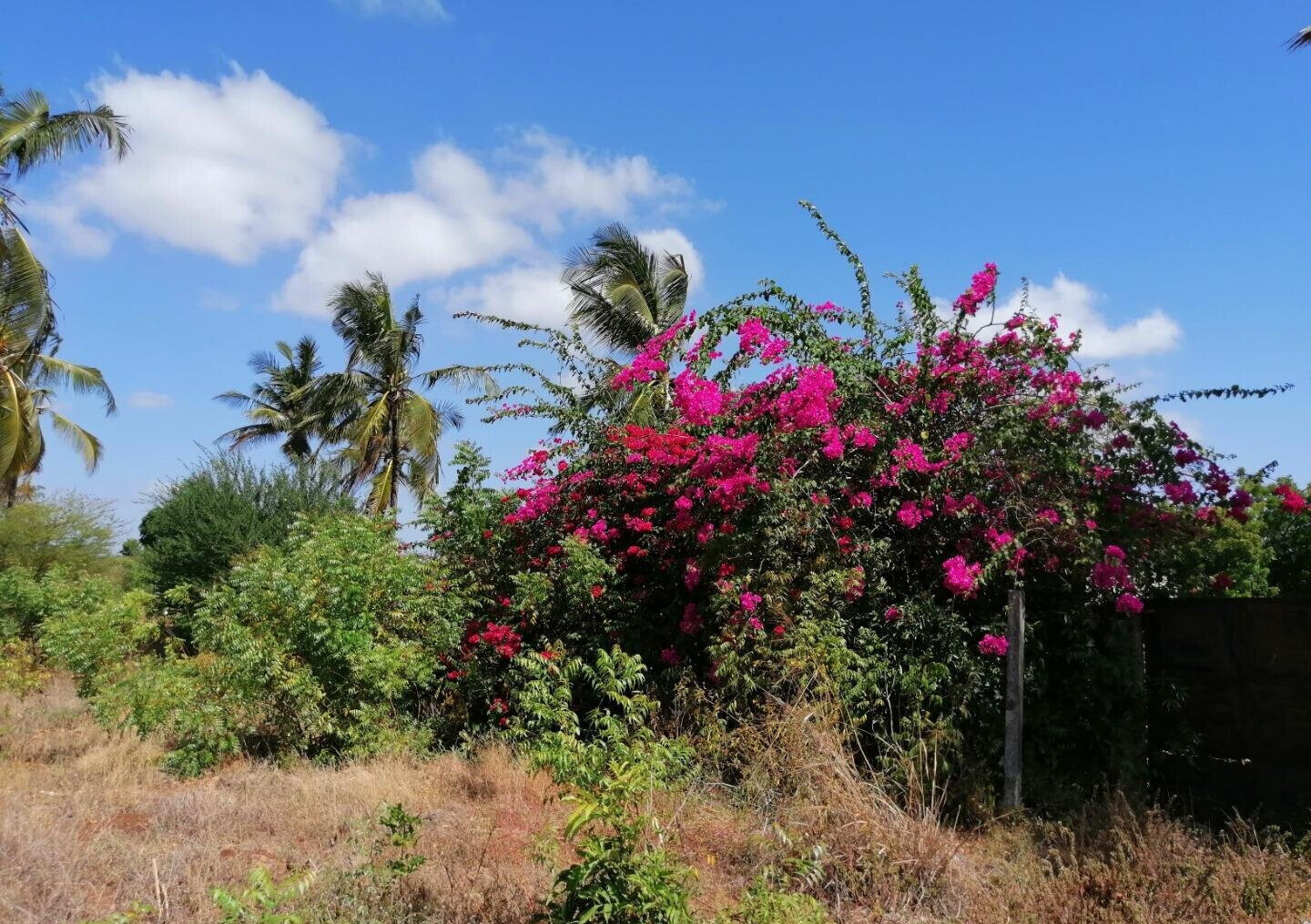 3/8 Acre Plot Near Sun n Sand Hotel