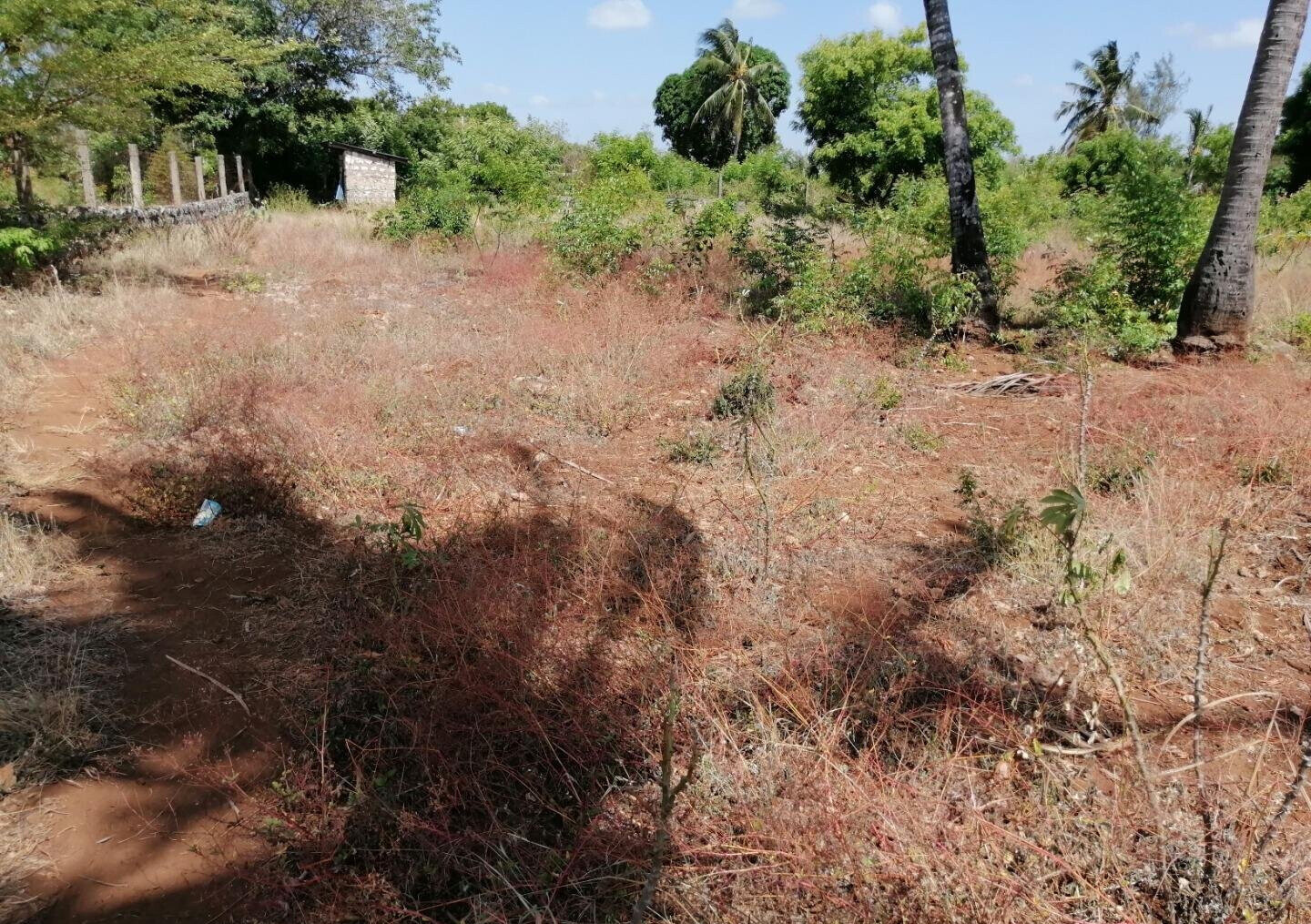3/8 Acre Plot Near Sun n Sand Hotel