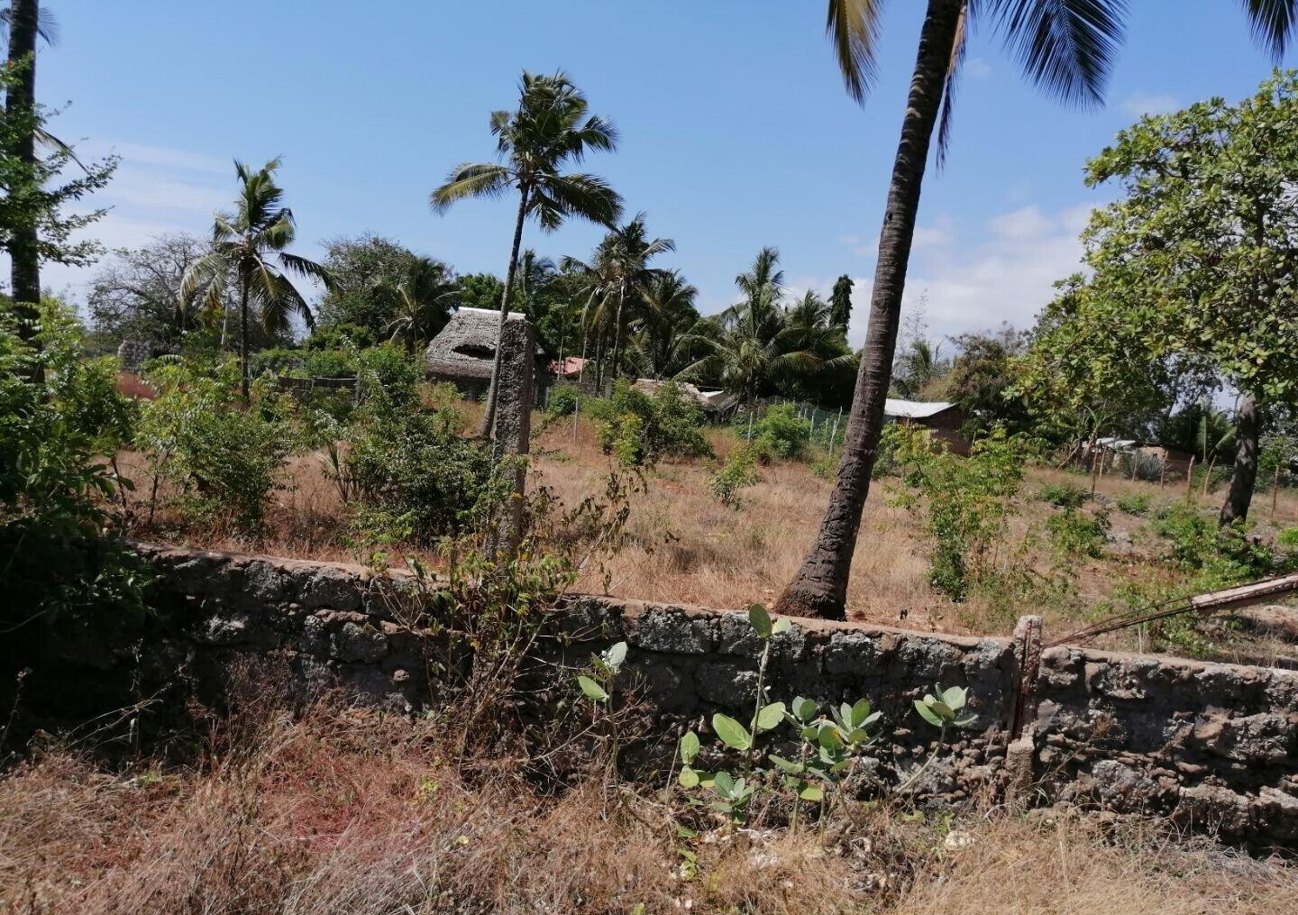 3/8 Acre Plot Near Sun n Sand Hotel