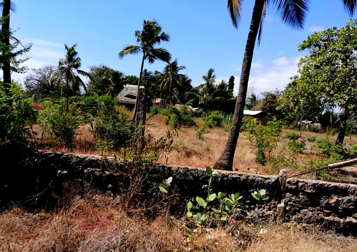 3/8 Acre Plot Near Sun n Sand Hotel