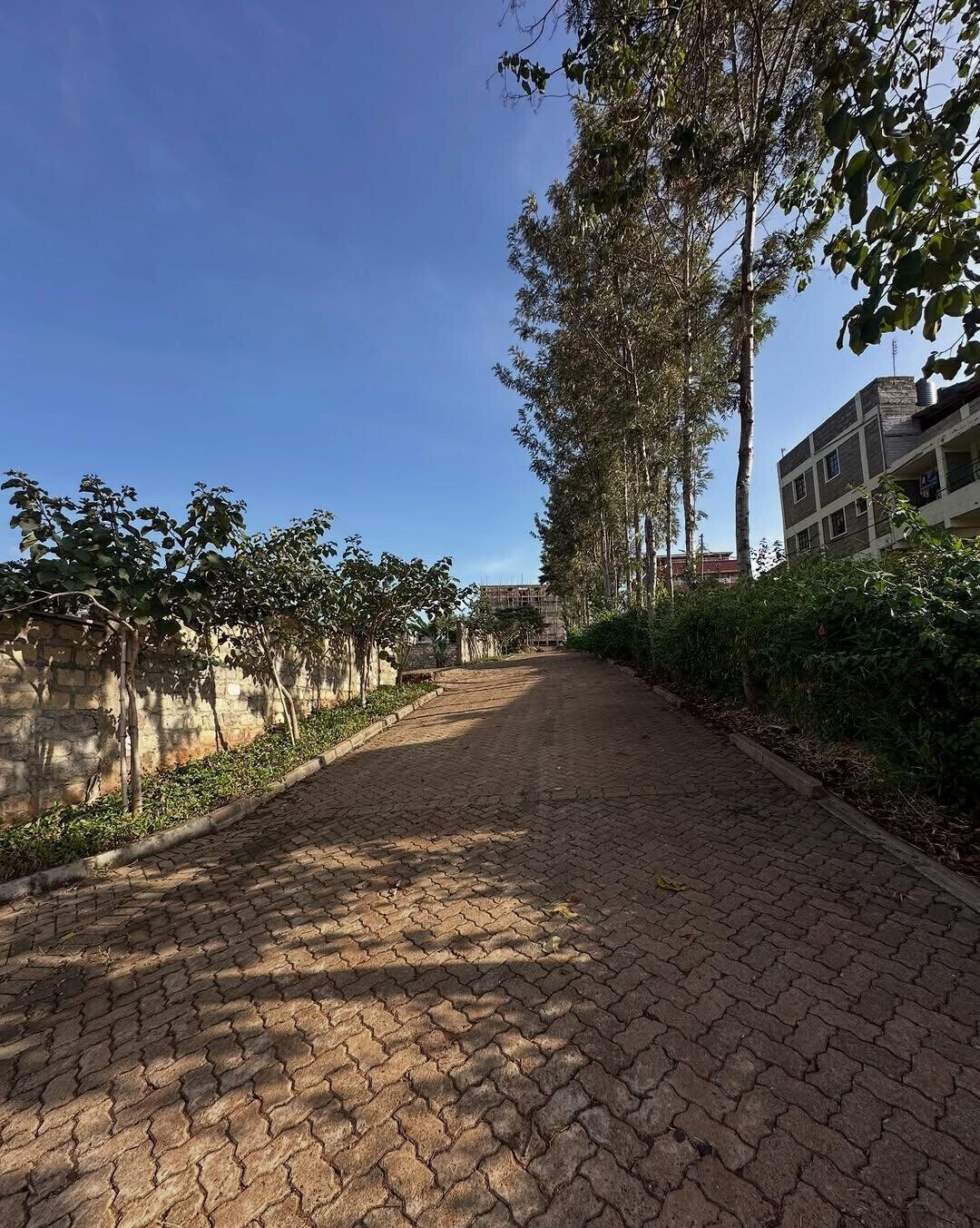 1/8 Acre Plot for KSh 16M