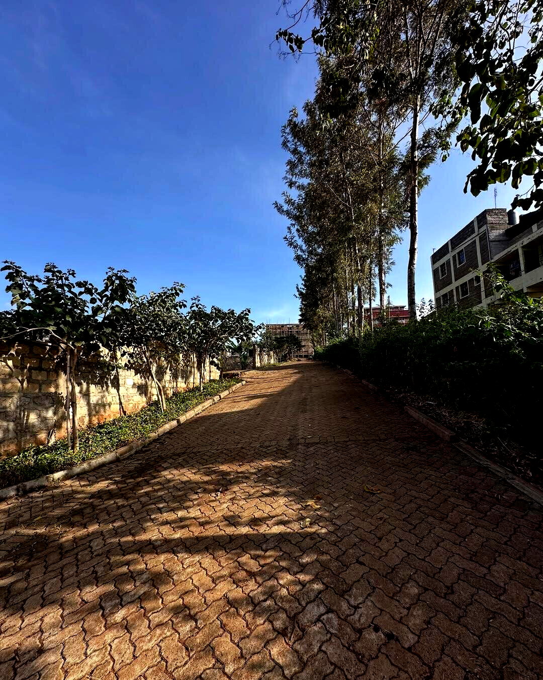 1/8 Acre Plot for KSh 16M