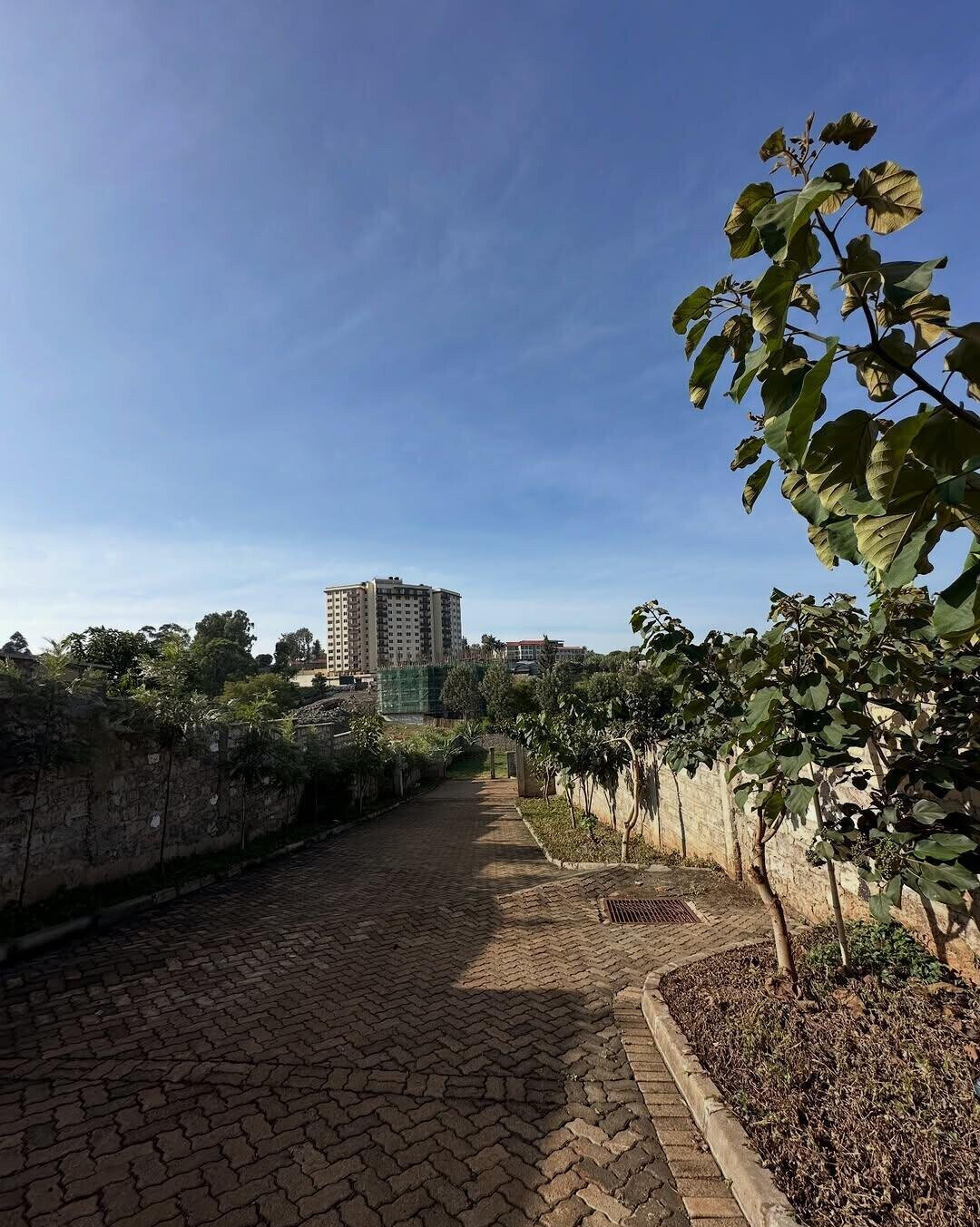 1/8 Acre Plot for KSh 16M