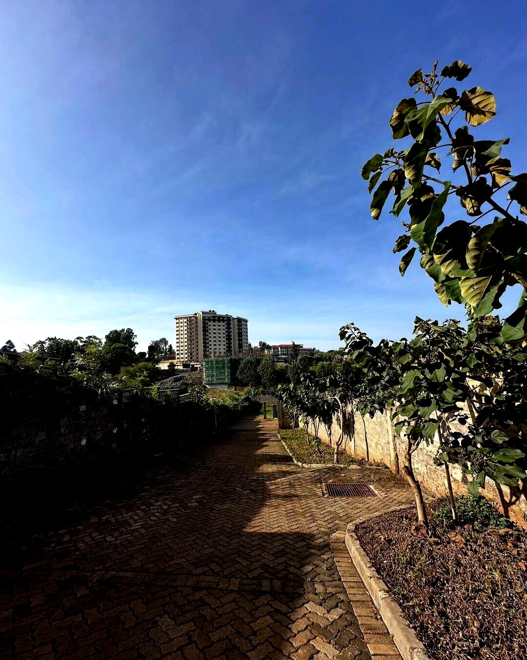 1/8 Acre Plot for KSh 16M