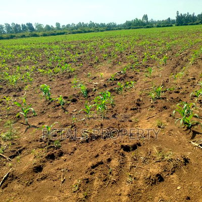 4 Acres for Sale in Kabarak Muhoo Farm - Image 3