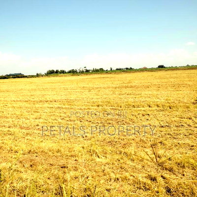 4 Acres for Sale in Kabarak Muhoo Farm - Image 1