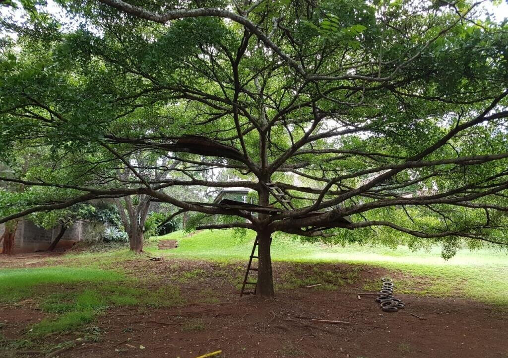 1.2 Acre Garden Estate at KSh 540K
