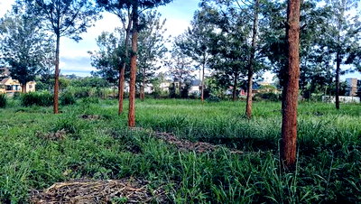 2 Acres for Sale at Kabati Riandegwa - Image 1