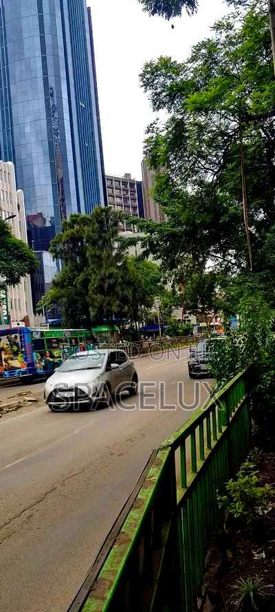 Big Office Space for Partitioning 19000sqft - Image 3