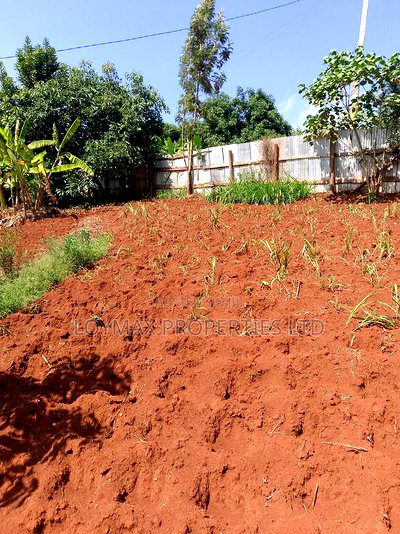 1/2 Acre on Sale in Gatanga Kihumbu-Ini - Image 4