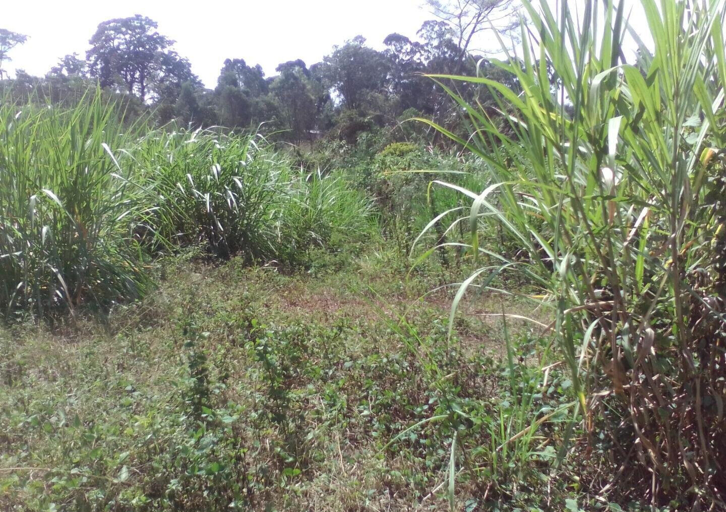 3.6-Acre Land in Lower Kabete