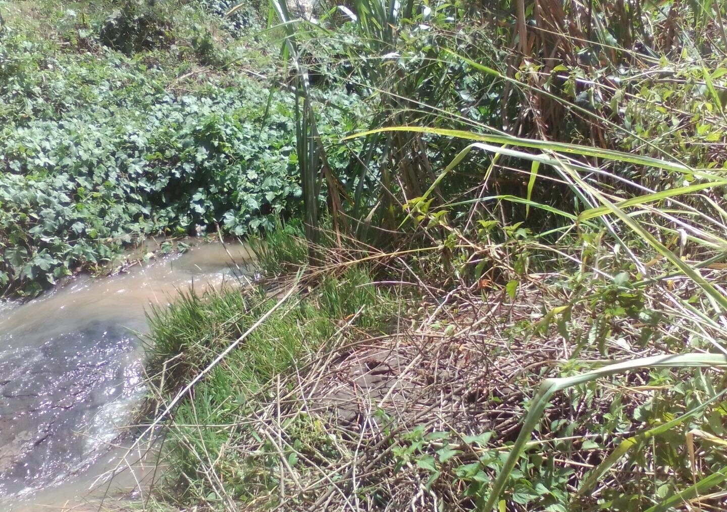3.6-Acre Land in Lower Kabete