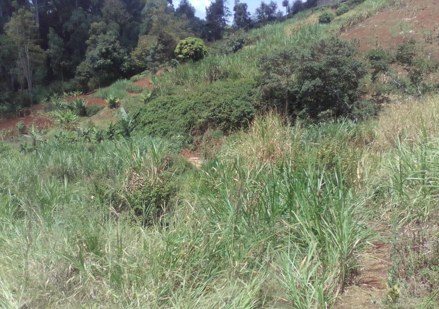 3.6-Acre Land in Lower Kabete