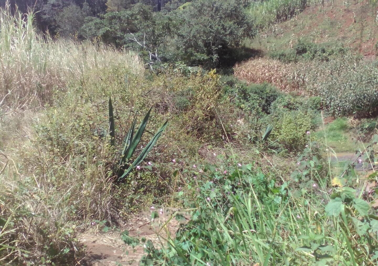 3.6-Acre Land in Lower Kabete