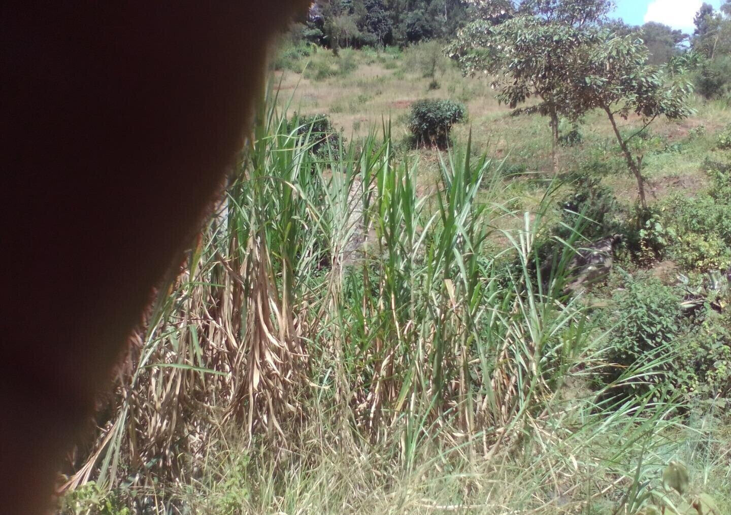 3.6-Acre Land in Lower Kabete