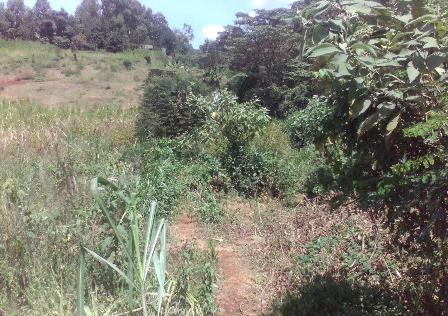 3.6-Acre Land in Lower Kabete