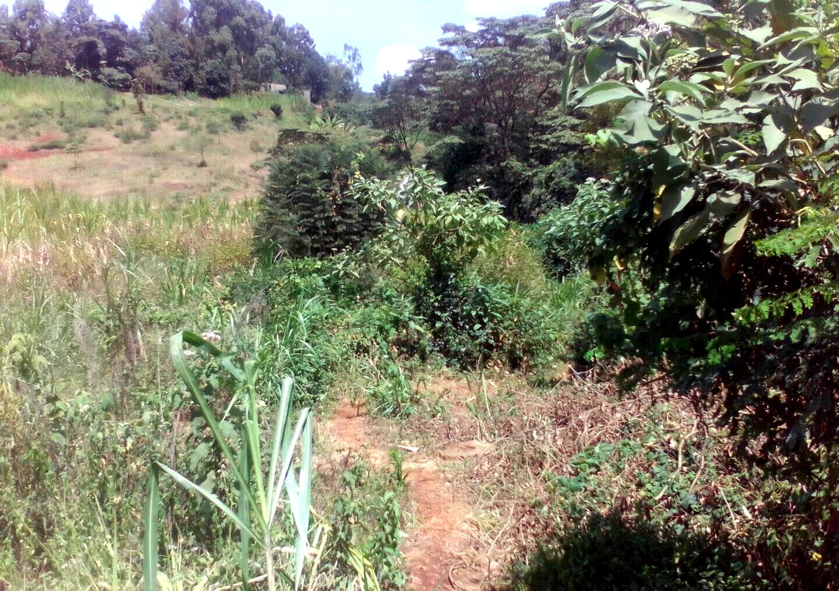3.6-Acre Land in Lower Kabete
