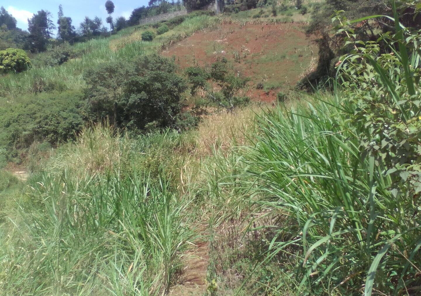 3.6-Acre Land in Lower Kabete