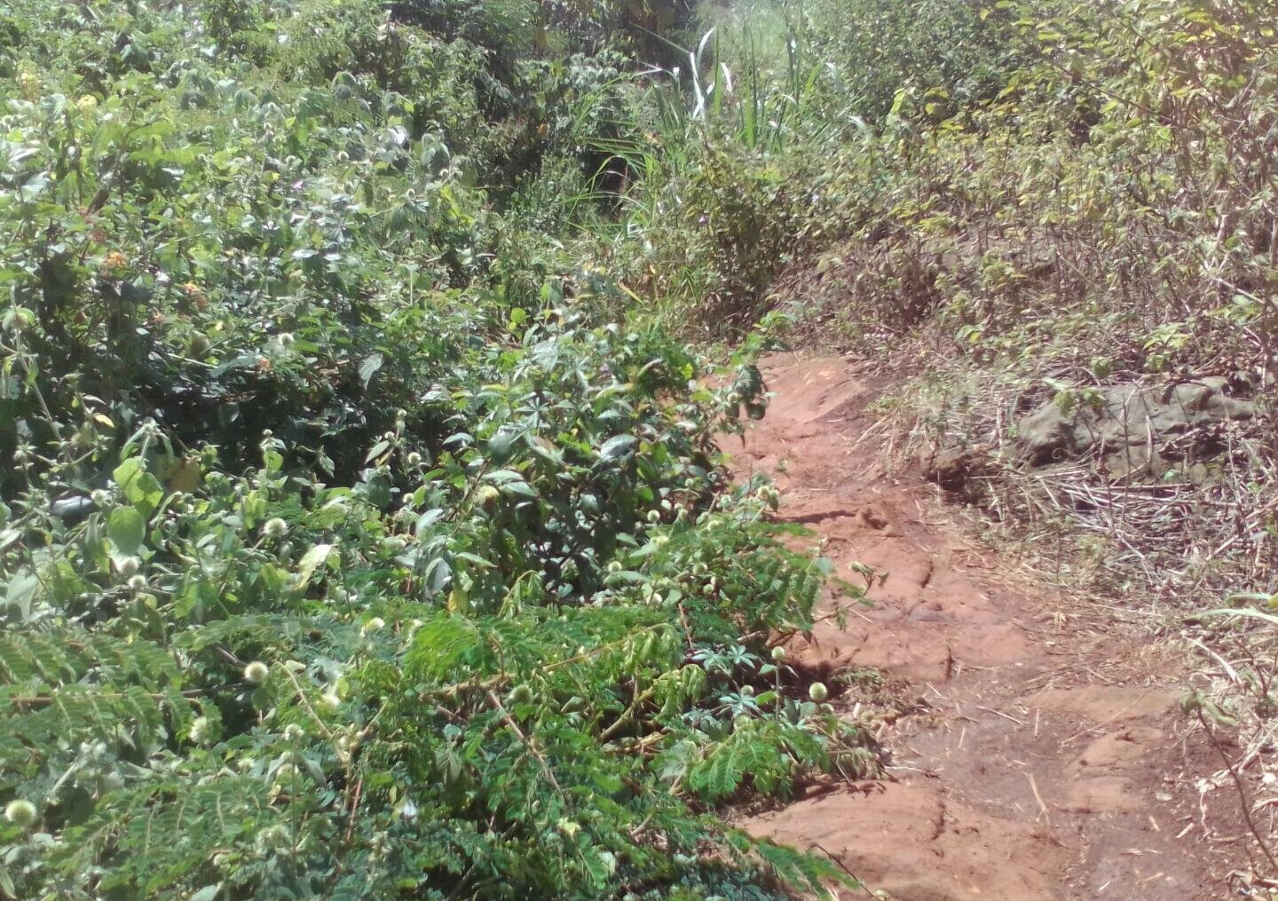3.6-Acre Land in Lower Kabete