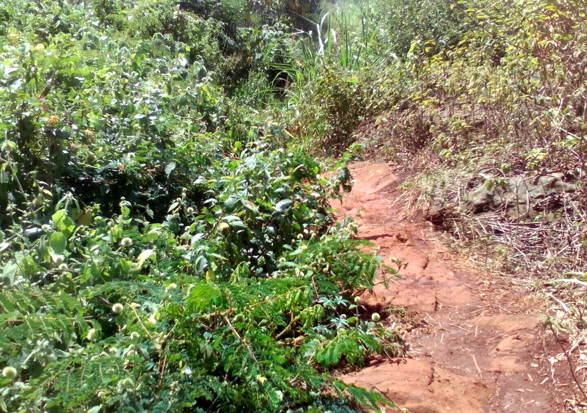 3.6-Acre Land in Lower Kabete