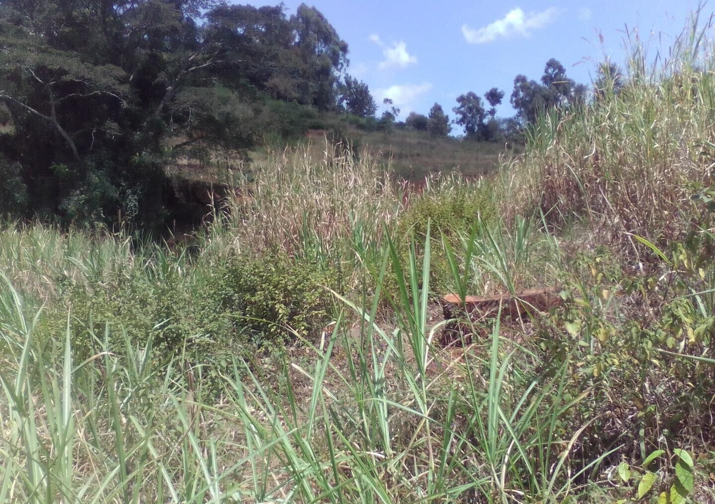 3.6-Acre Land in Lower Kabete