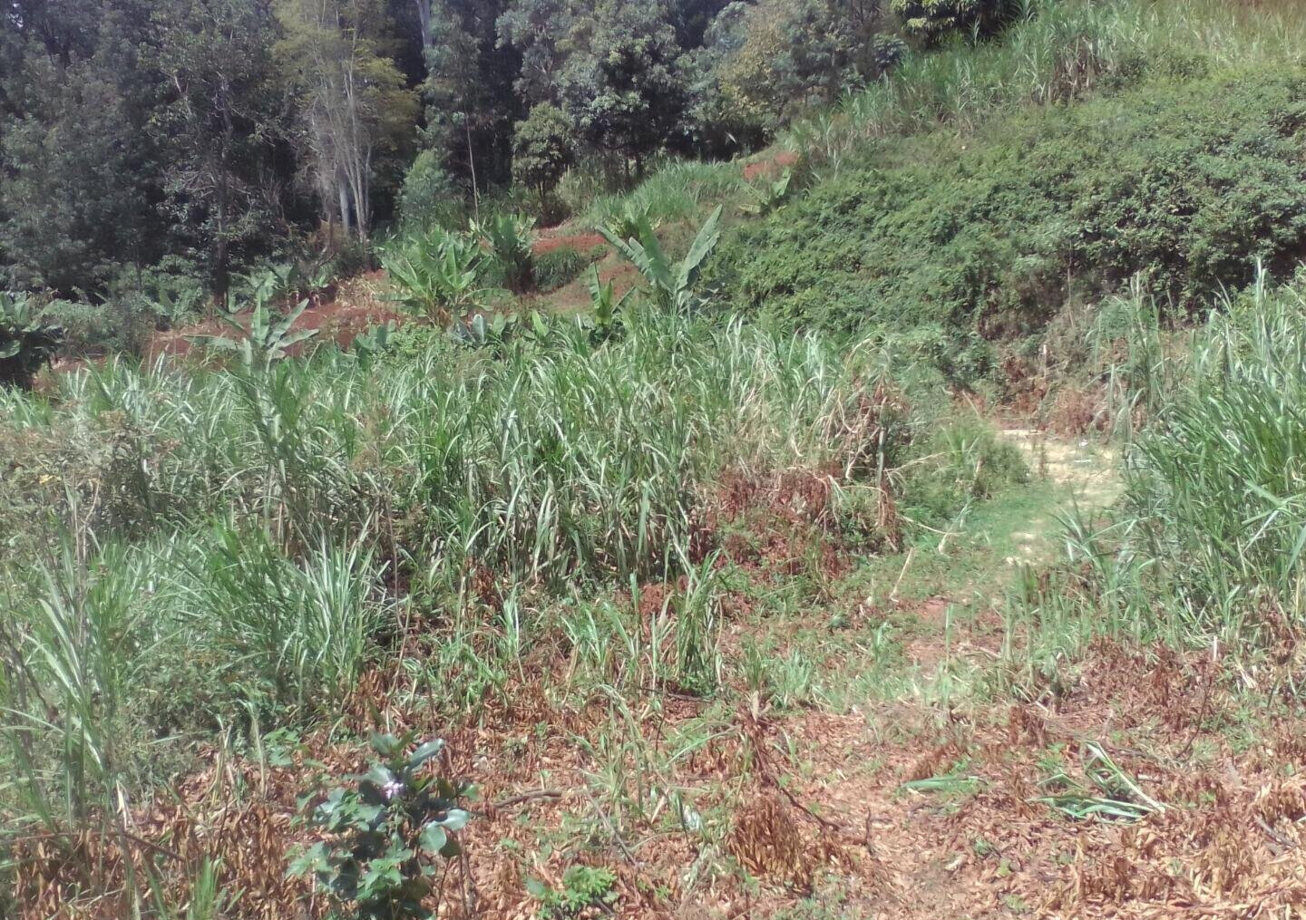3.6-Acre Land in Lower Kabete