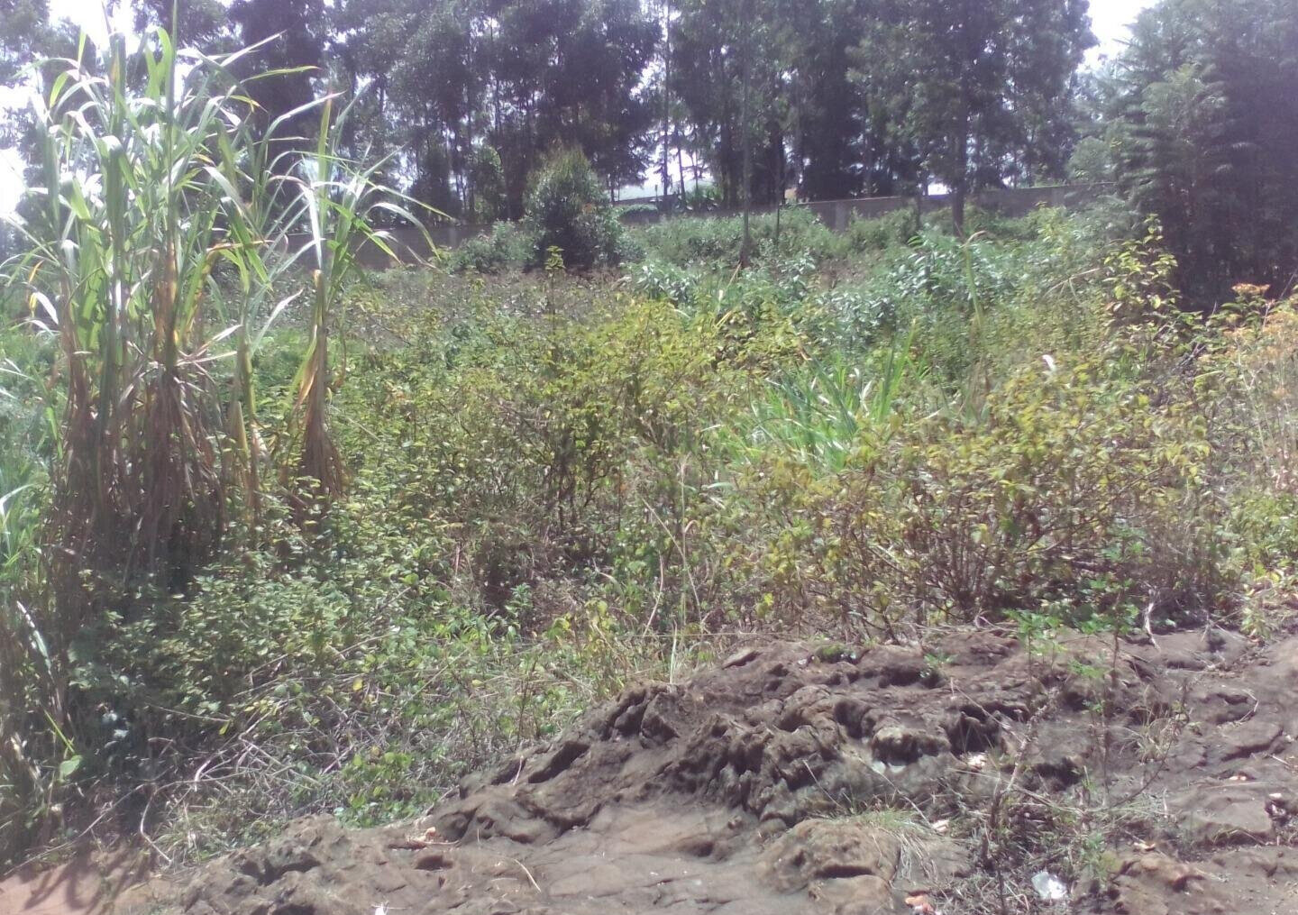 3.6-Acre Land in Lower Kabete