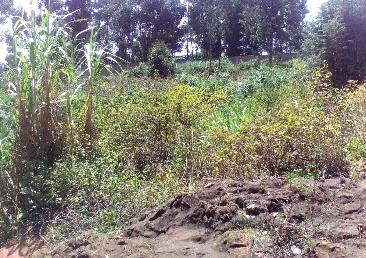 3.6-Acre Land in Lower Kabete