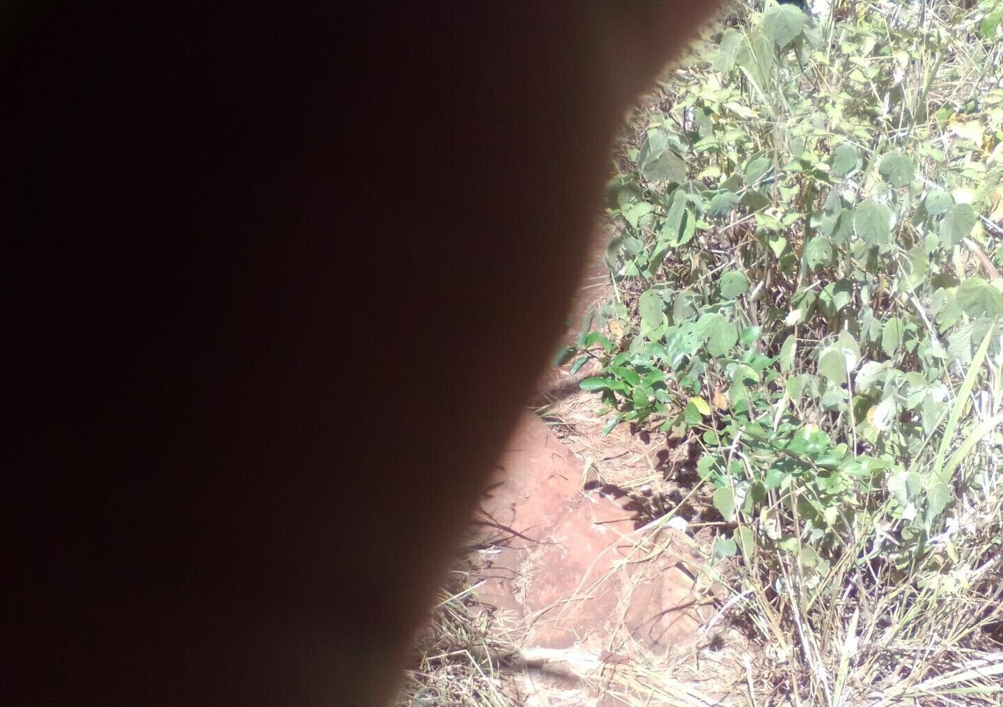 3.6-Acre Land in Lower Kabete