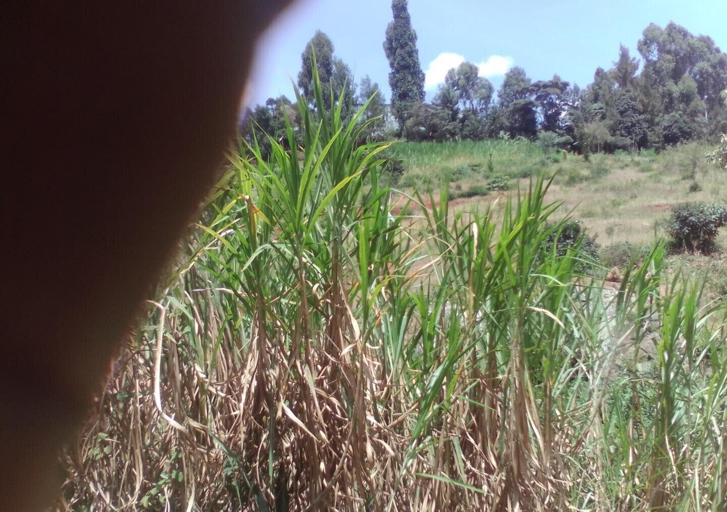 3.6-Acre Land in Lower Kabete