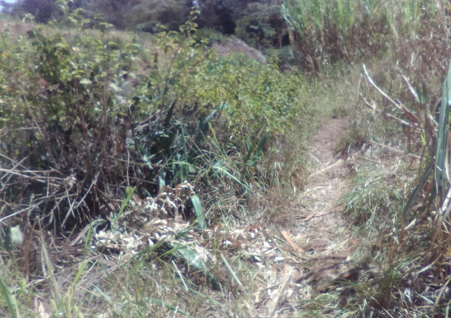 3.6-Acre Land in Lower Kabete