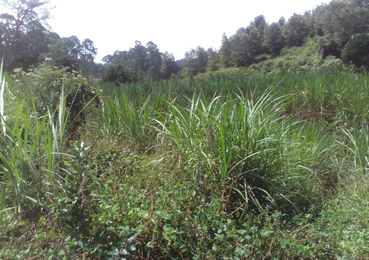 3.6-Acre Land in Lower Kabete