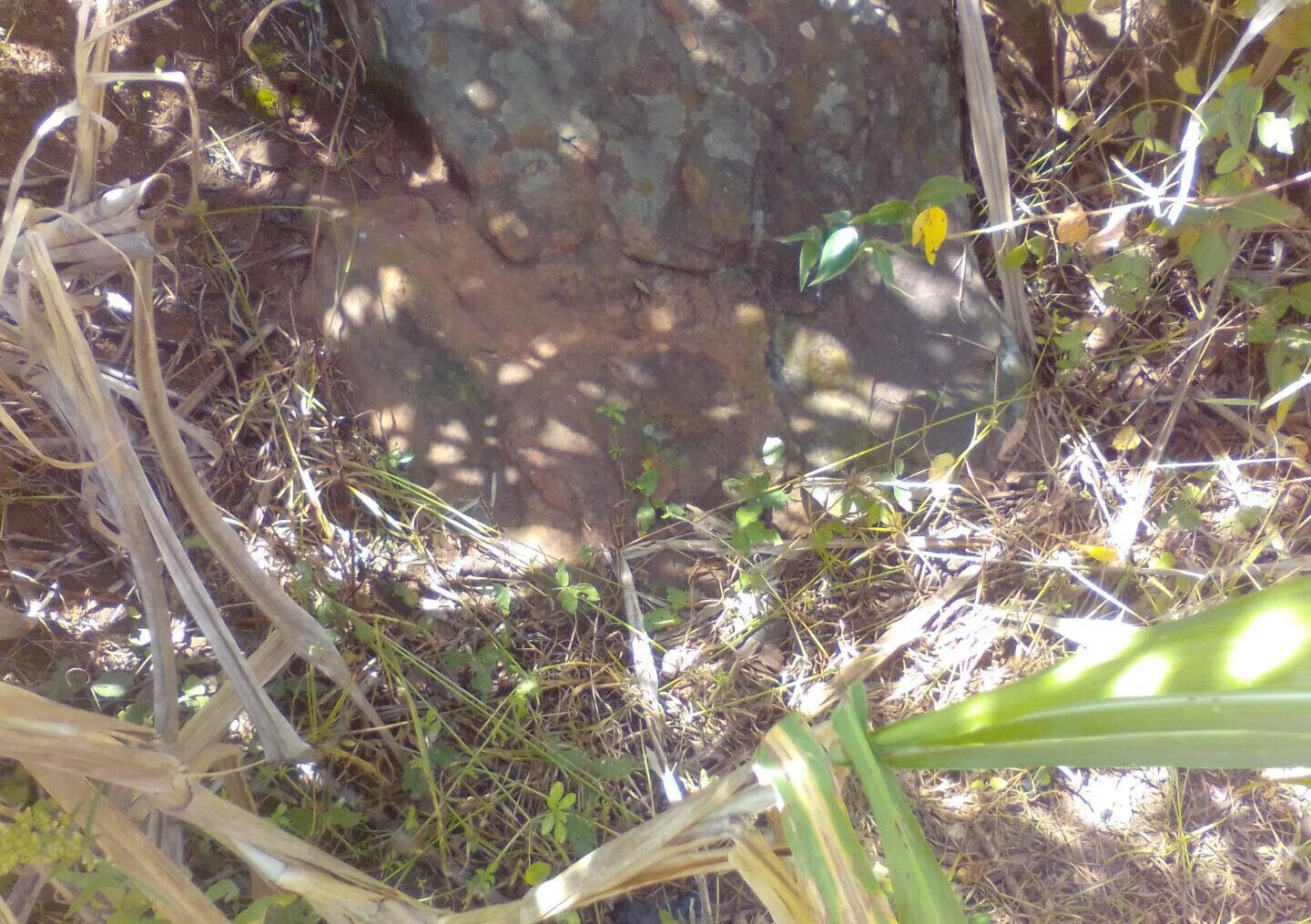 3.6-Acre Land in Lower Kabete