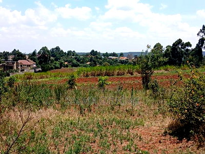 50 by 100ft Residential Plot for Sale Inkikuyu,Gikambura - Image 4