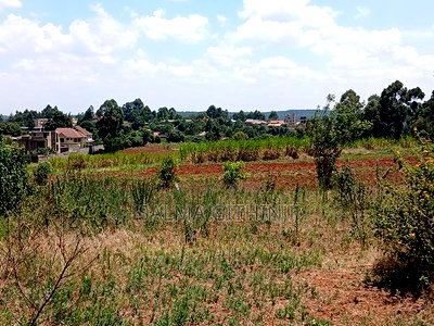 50 by 100ft Residential Plot for Sale Inkikuyu,Gikambura - Image 5