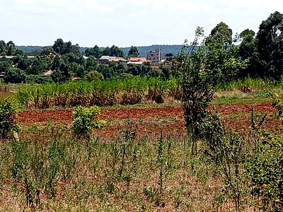 50 by 100ft Residential Plot for Sale Inkikuyu,Gikambura - Image 3