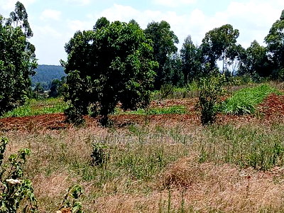 50 by 100ft Residential Plot for Sale Inkikuyu,Gikambura - Image 1