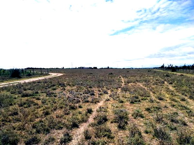 Quarter Acre Plots for Sale in Kisaju, Olturoto Area - Image 3