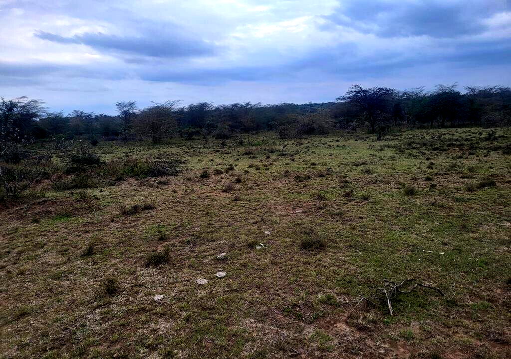 4-Acre Land in Narok
