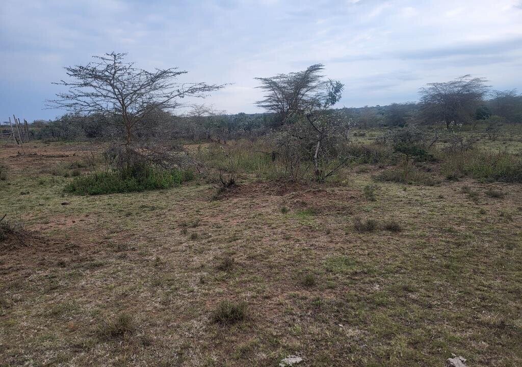 4-Acre Land in Narok