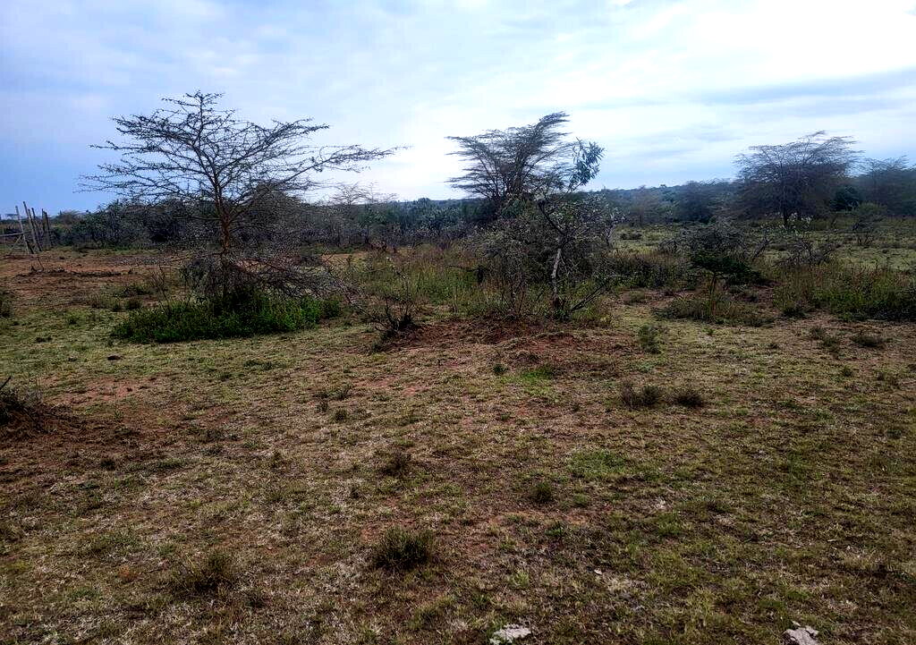 4-Acre Land in Narok