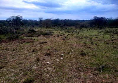 4-Acre Land in Narok