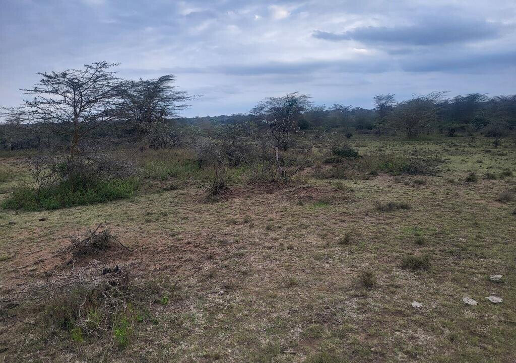 4-Acre Land in Narok