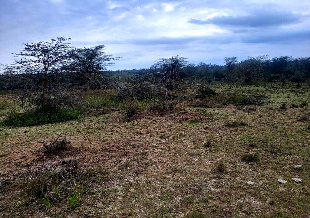 4-Acre Land in Narok